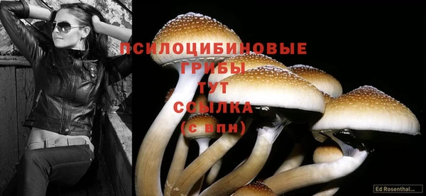 кокаин колумбия Нефтекумск