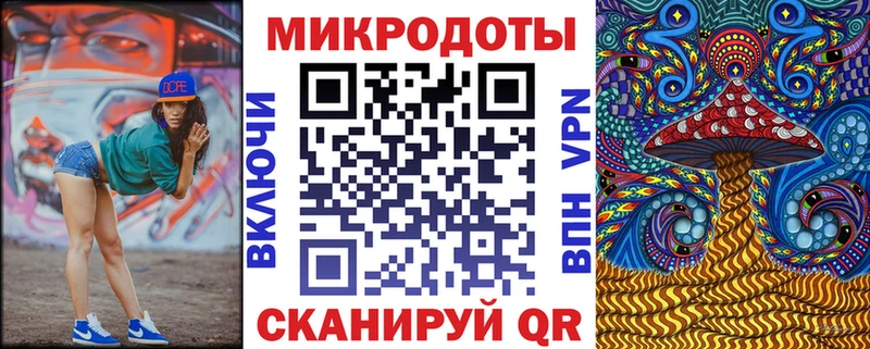 Купить  Сураж  Галлюциногенные грибы Psilocybine cubensis 