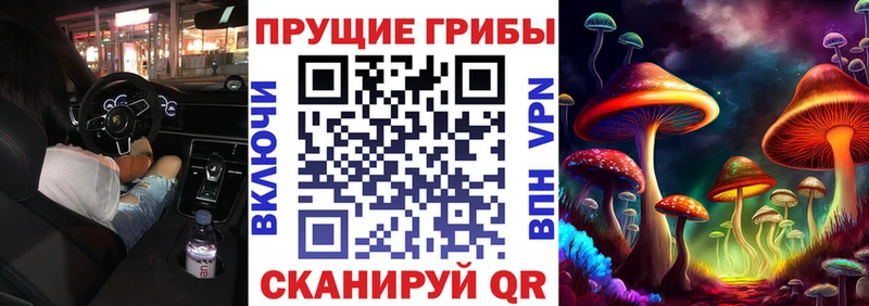 Галлюциногенные грибы мицелий Сураж
